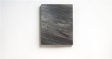 LIGNUM_01_COVER.jpg